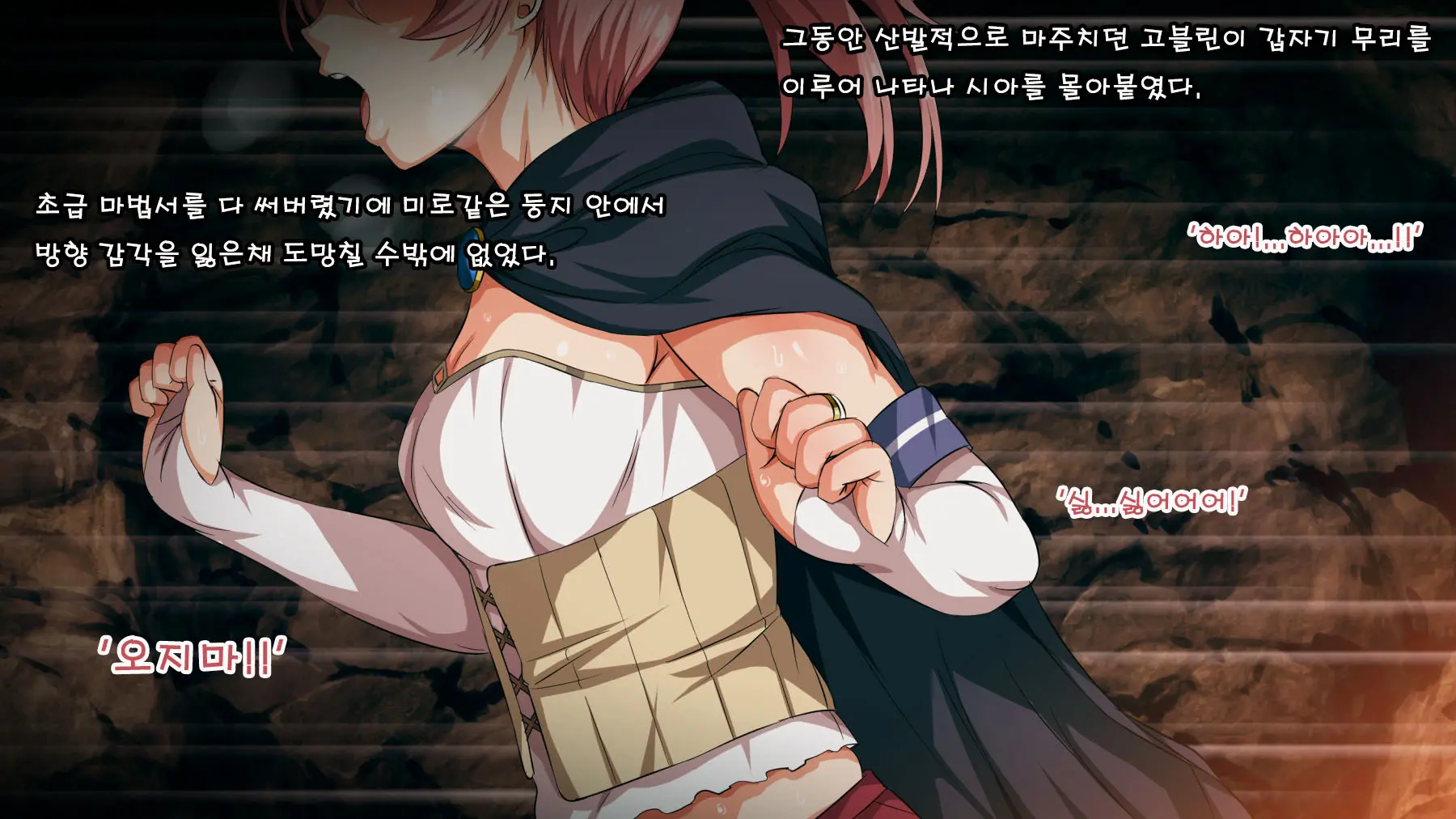 Mamono No Nie 2 ~Ishu No Ko O Haranda Boukensha-Tachi~ | 마물의 희생양 2 ~괴물의 새끼를 임신한 모험가들~